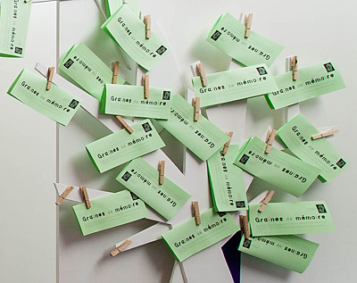 Photo arbre à graines de mémoire